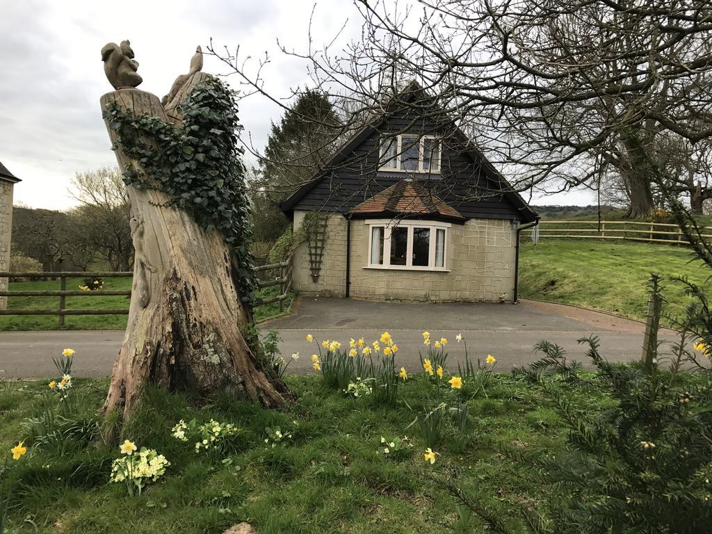 Godshill Park Cottages Kültér fotó